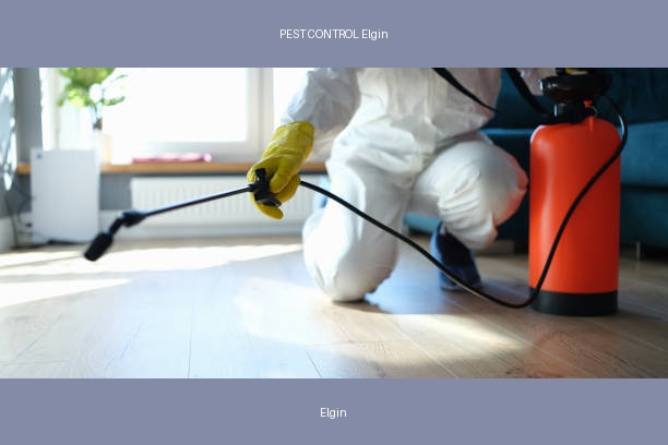 PEST CONTROL Elgin